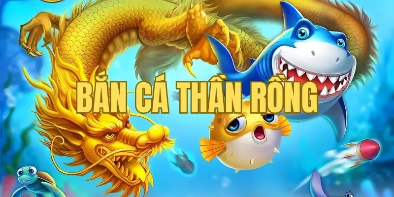 Các bước chỉ dẫn người chơi chi tiết Các bước chỉ dẫn người chơi chi tiết