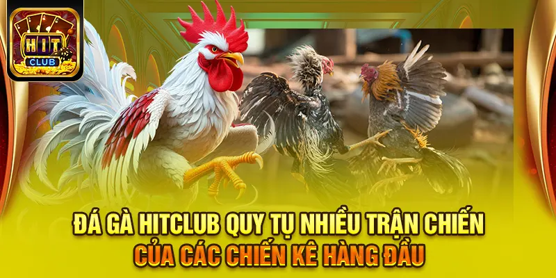 Hitclub 22 Đá gà HITCLUB quy tụ nhiều trận chiến của các chiến kê hàng đầu